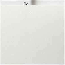 AWAGAMI PREMIO KOZO WHITE A1